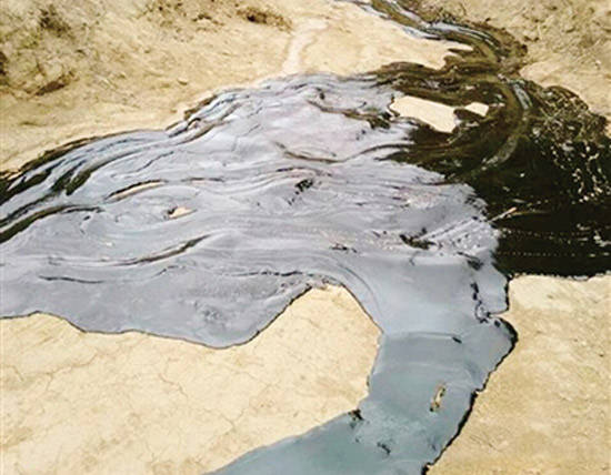 石油污染物降解菌种测定及其协同作用强化研究飞凡检测
