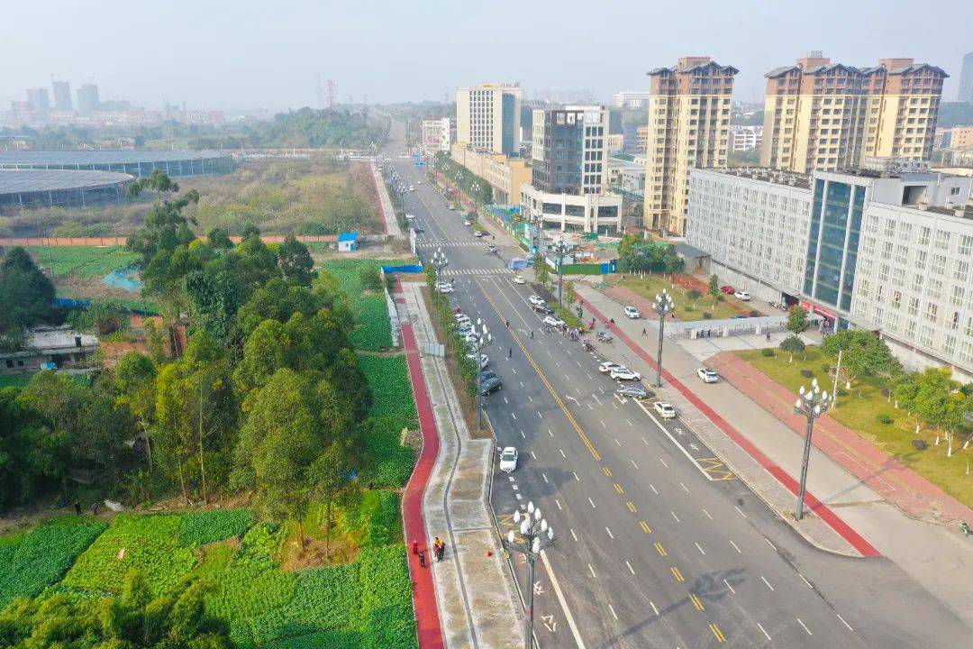 龙安路(乐沙路至龙口路)乐沙路至铜河北路段,铜河南路至龙口路段:道路