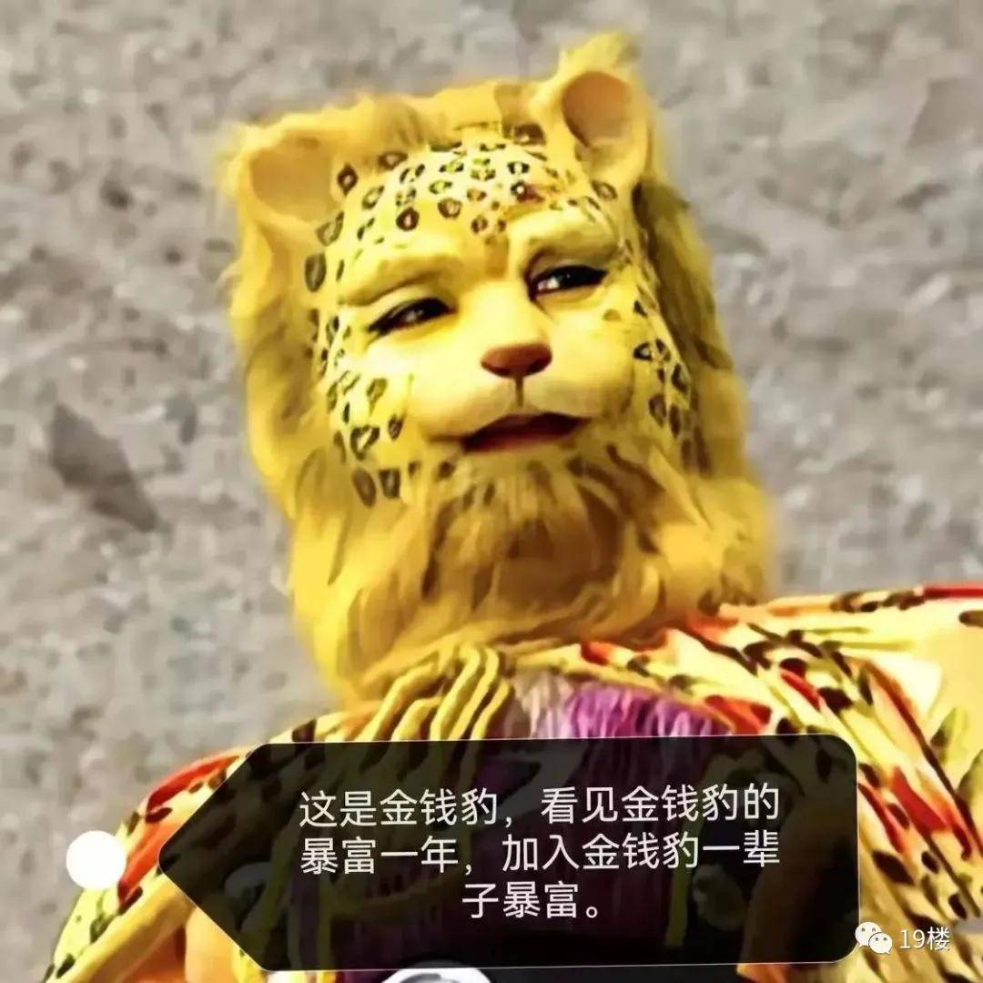 西游记导演都想不到虎年将至一只豹子突然火遍了朋友圈