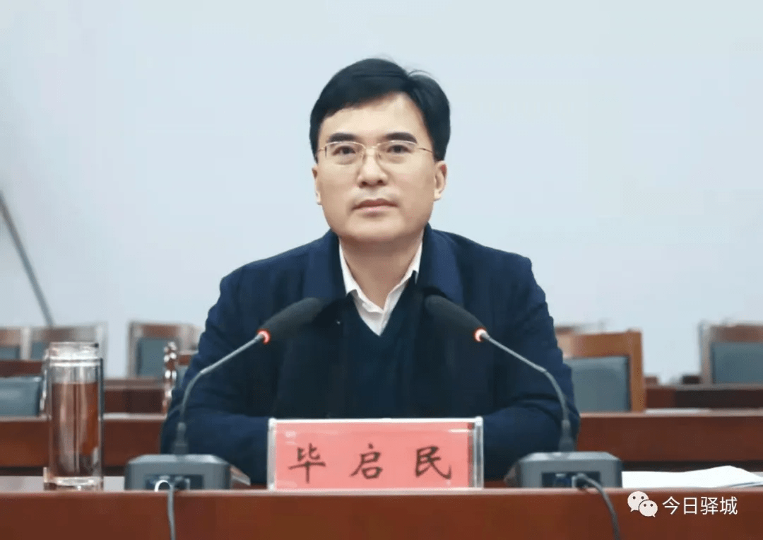 驿城区党史学习教育总结会议召开_政治_毕启_建设