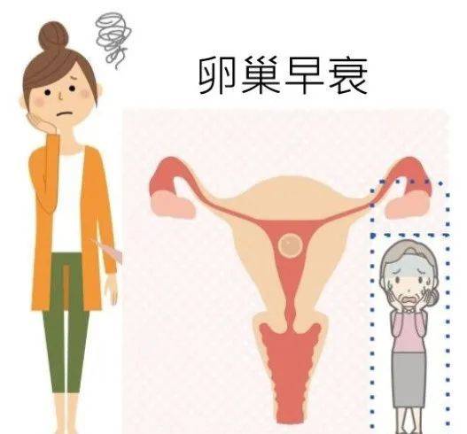 宫茹清科普 | 让无数女性为之色变的卵巢早衰,脸部先