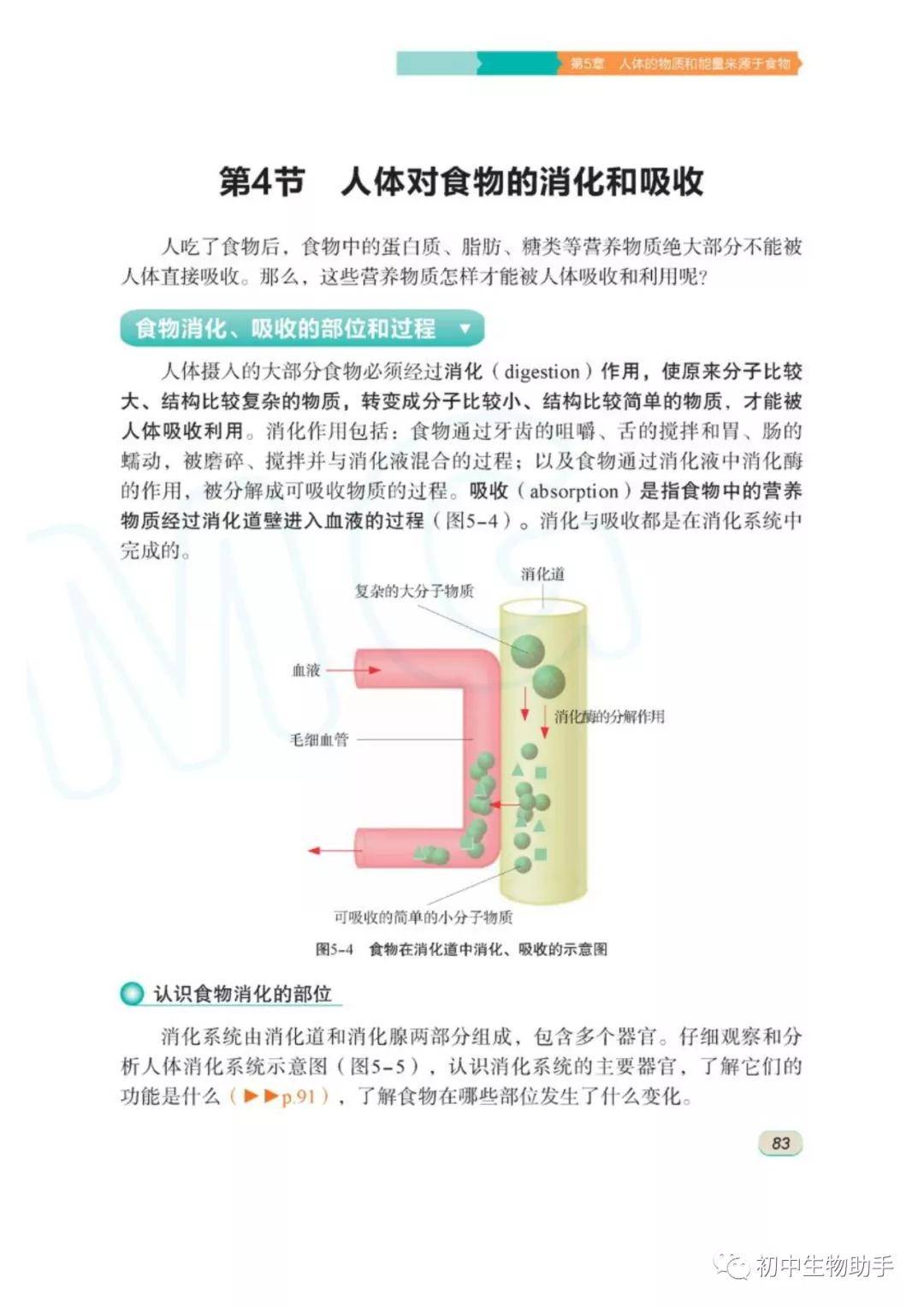 苏科版七年级上册生物电子课本教材高清pdf版