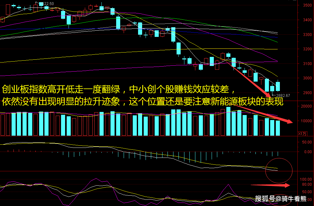 创业板指数高开低走,2月机会在哪里?_走势_涨超_个股