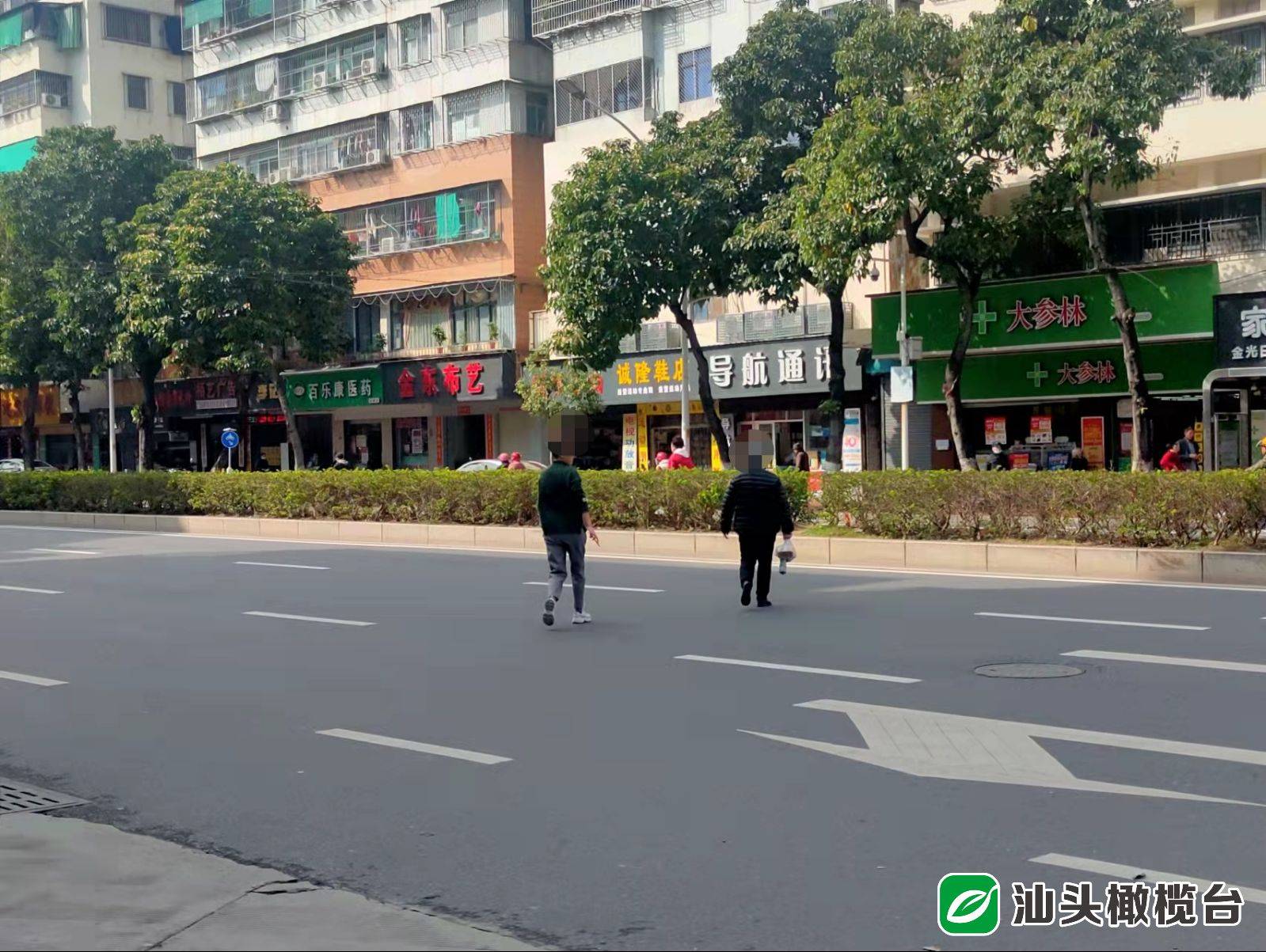 汕头市区汕樟路金砂中学附近路段绿化带有缺口 行人横穿存隐患_市民