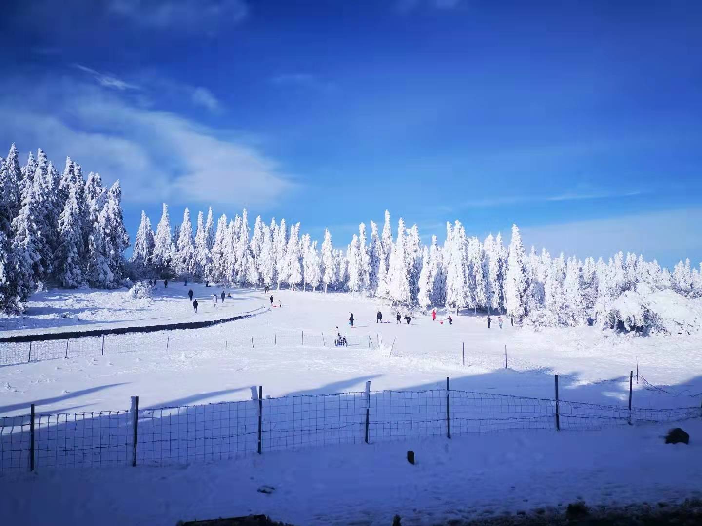 在这儿还能堆雪人,堆冰墩墩,滑雪板,滑雪圈和滑雪船……(图李鹏程摄)