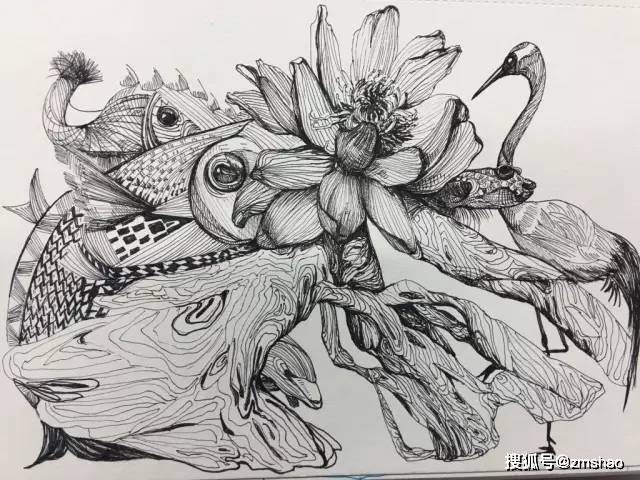 黑白针管笔手绘插画_何北_影响_世界