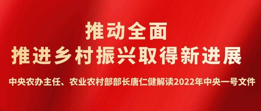 中央农办主任农业农村部部长唐仁健解读2022年中央一号文件