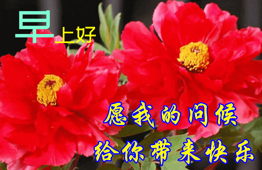 3月6日周末问候朋友早晨好动态表情图片 最美早上好表情图片带字温馨