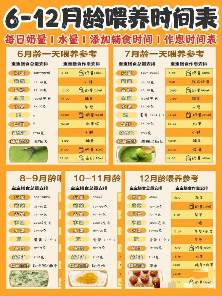 喂养干货：6个月是宝宝成长分水岭,一天的母乳和辅食怎么安排？