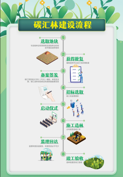 社会组织聚力碳中和冬奥碳汇林的探索与实践