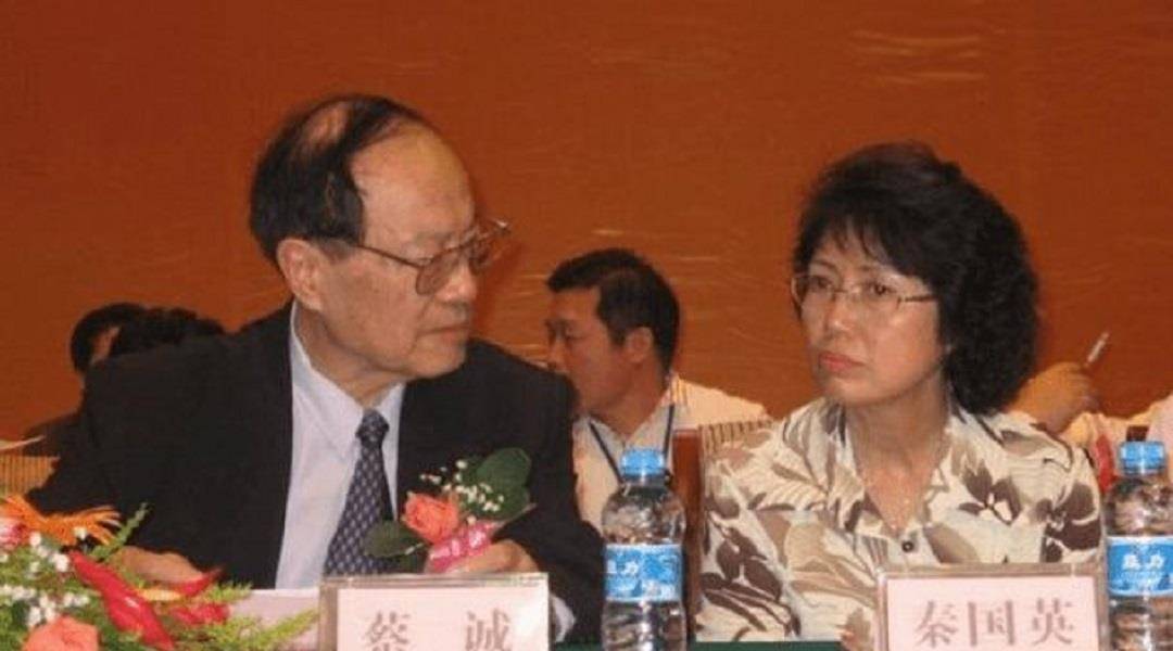 走上歧路的儿子69我们今天要讲到的蔡小洪,其作为蔡诚唯一的儿子