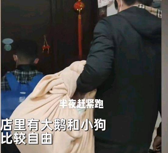 吃的东西少,做饭不大方便,儿子也有他自己的理由,他觉得店里有大鹅和
