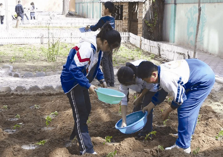 中小学生要学习＂煮饭＂？劳动课即将回归,部分家长偷着乐