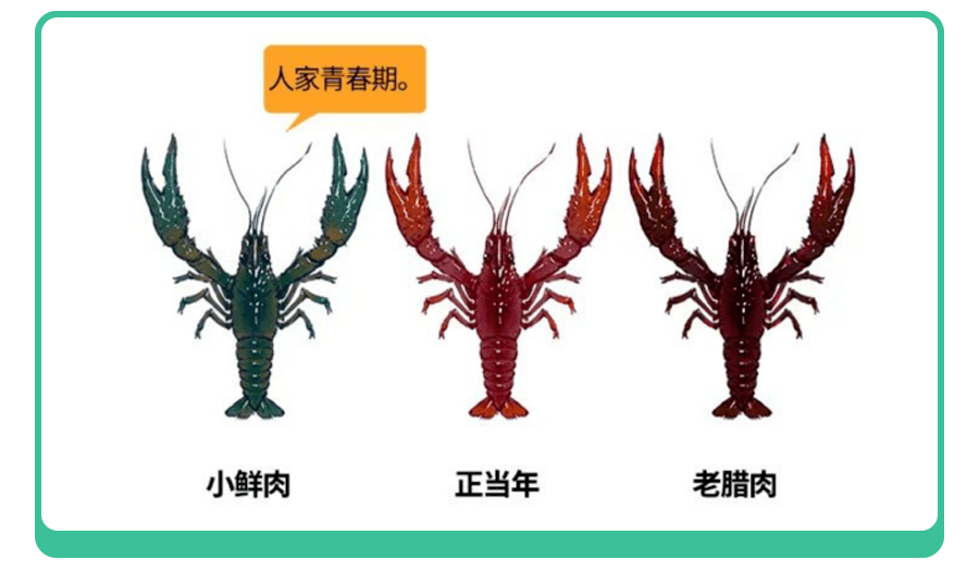 虾红是非多,没达到这3个标准的小龙虾,重金属超标、寄生虫翻倍