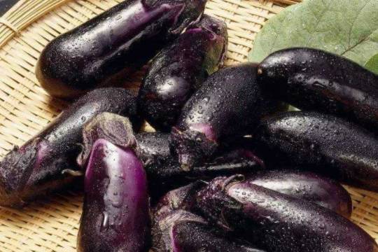 茄子是感光食物吗 来自搜狐网