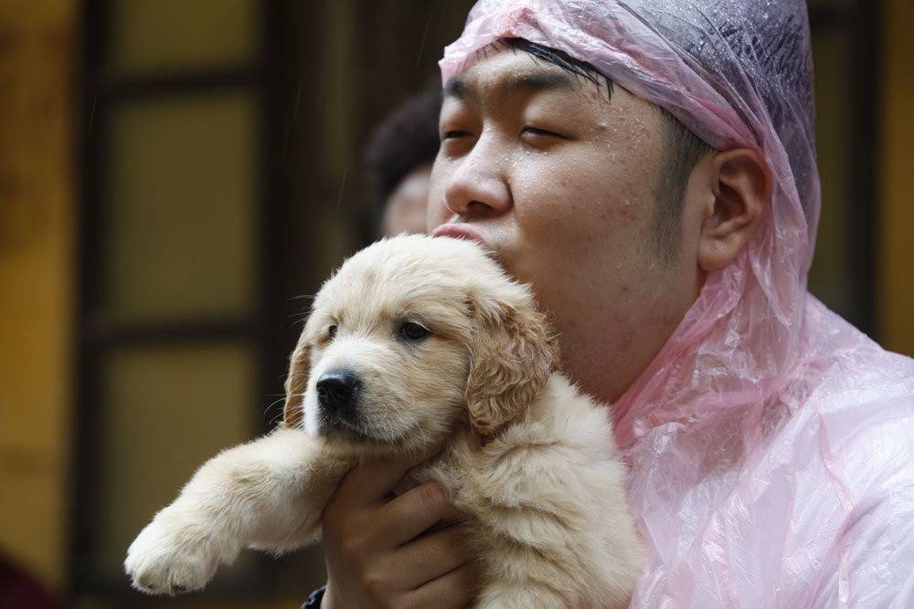 被称为"开心果"的明星,杨紫活泼似猴子,岳云鹏憨厚不浮夸_杨迪_杜海涛