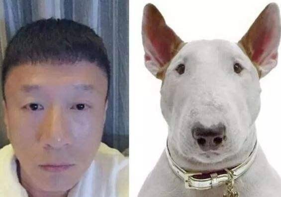 很简单因为孙红雷是黄磊的好友可以随便说,但是黄磊和林永健虽然也