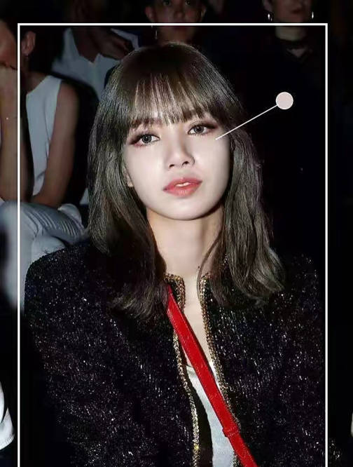 "lisa:靠一个动作成顶流巨星,年仅20岁坐拥过亿身价_丽莎_长相_米当卡