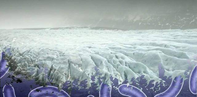 原创北极甲烷释放已占4远古生物可能被唤醒地球已经病了