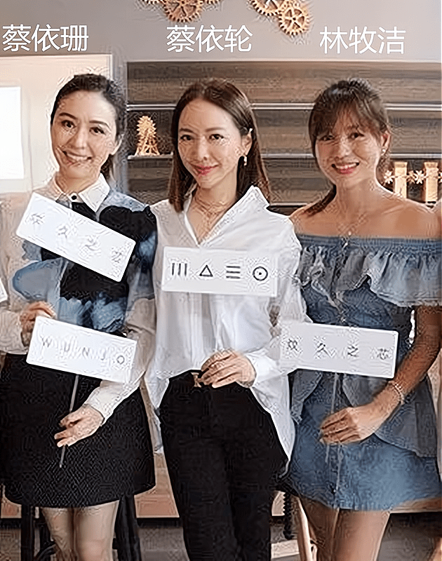 宝藏美人蔡依珊名媛若是褒义词她就是范本大气淡定荣辱不惊