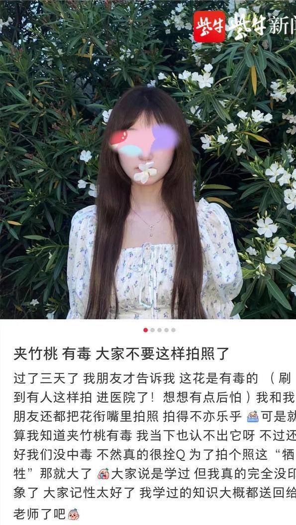 郑州女孩嘴含夹竹桃拍照中毒,网红鲜花也会危害健康_叶子_有毒_患者