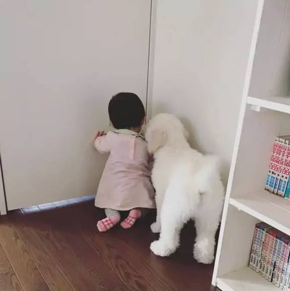 这样有爱的画面怎能错过!_poppy_主人_riku