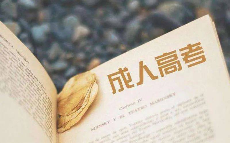 应该如何备考?_学科_语文_数学