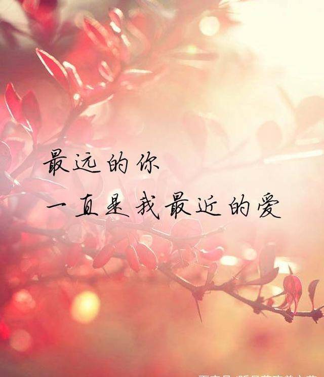 有缘再会错过的爱人