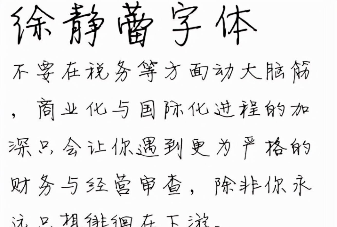 好,演戏精彩,导的戏优秀,2007年她还开创了自己的字体"方正静蕾简体"