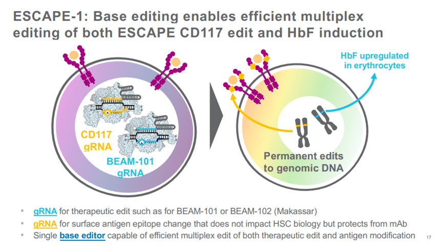警惕！临床搁置解除后，cd117 adc又因毒性过高停止给药