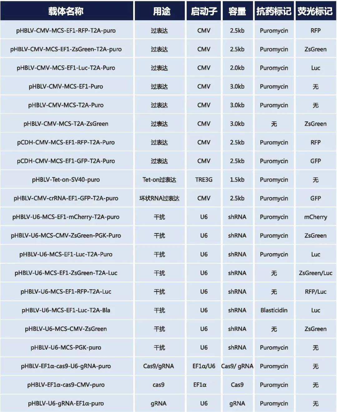 美国加州vps选择要注意哪些事项呢  第1张