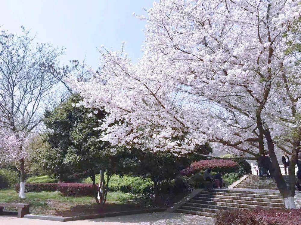 致我的“李焕英”：春暖花开，带你来看斑斓新昌！