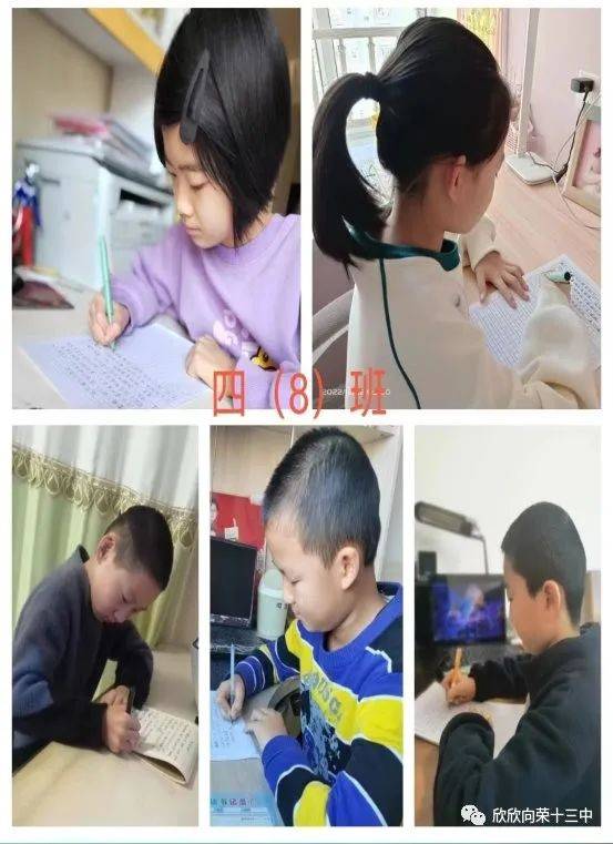 忻州市第十三中学小学部开展线上迎新年书画活动