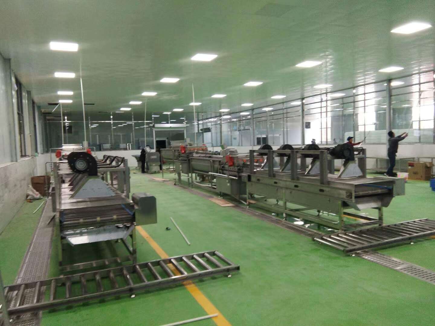 净菜加工设备多少钱？哪里有净菜加工生产流水线定制方案？