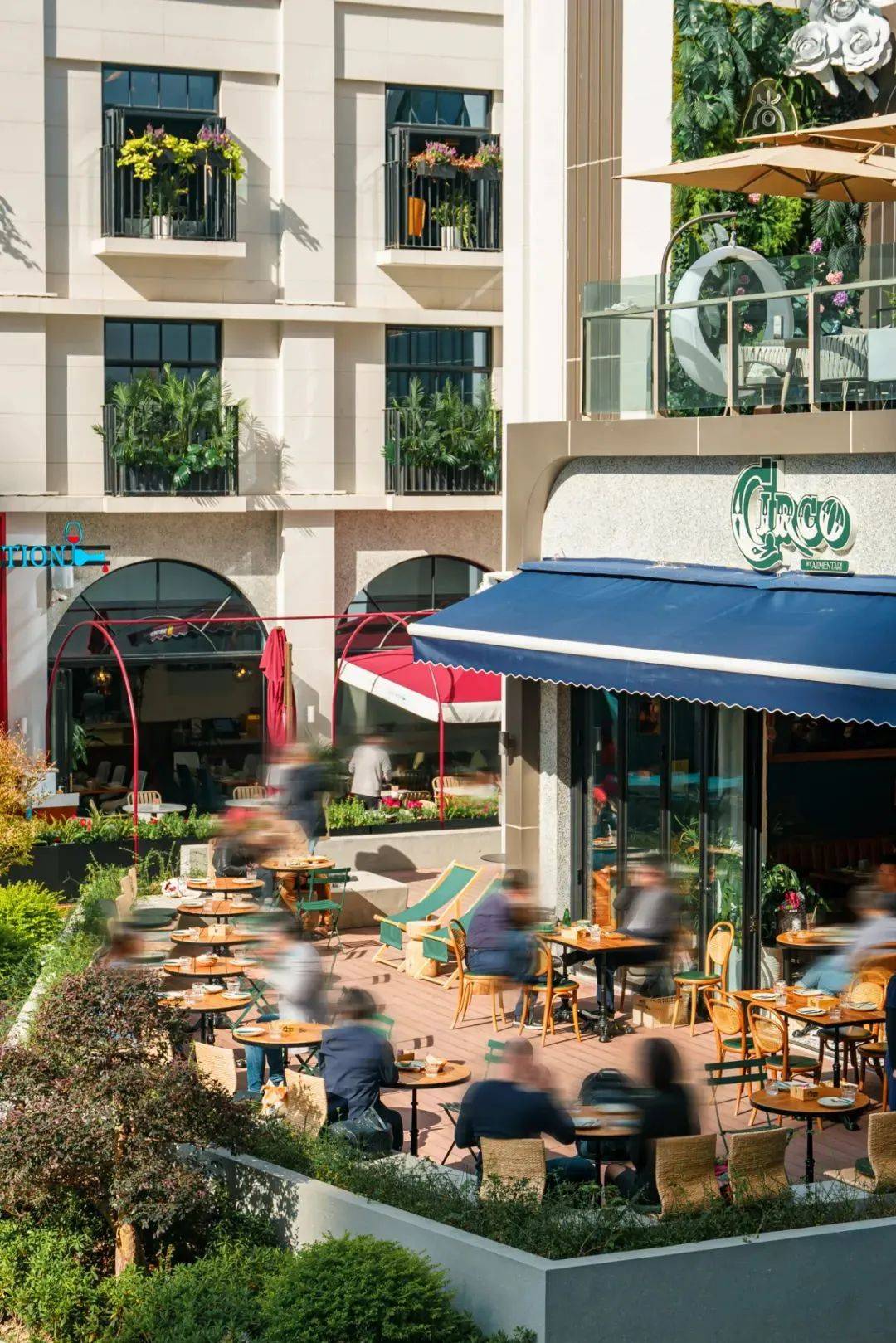 ��ħ��Ħ������� 2022 BEST 50���ذ�������