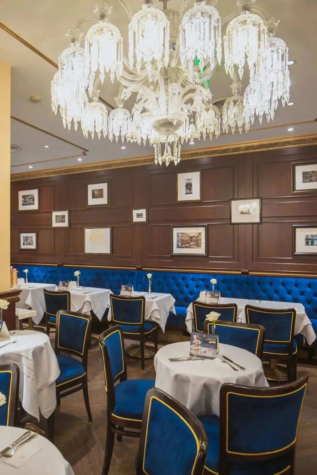 ��ħ��Ħ������� 2022 BEST 50���ذ�������