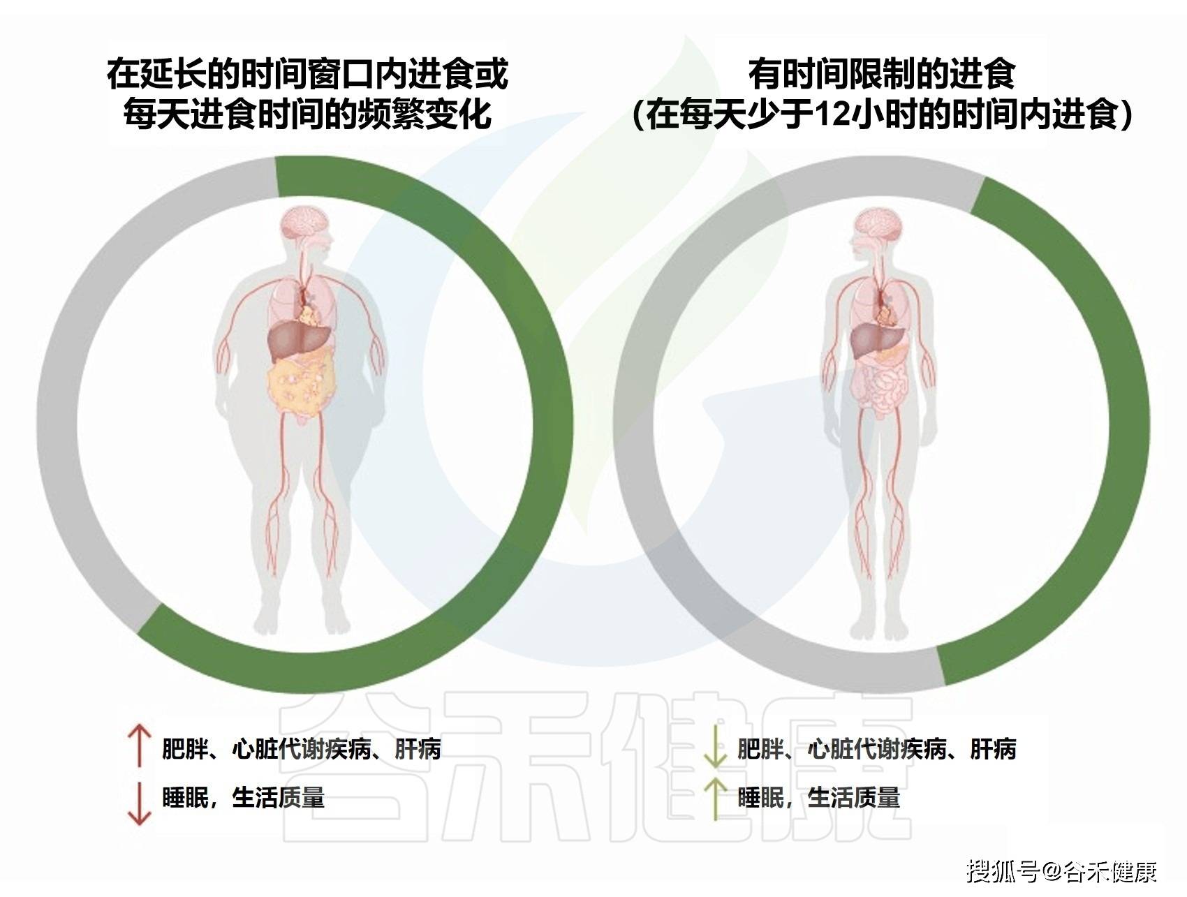 体育熬炼与饮食相连系：调理肠道菌群来预防治疗代谢性疾病