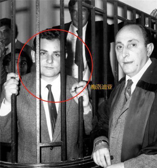 �˹����ɹ涨��ǿ�鷸���ܺ��߽����������һƯ������ ...