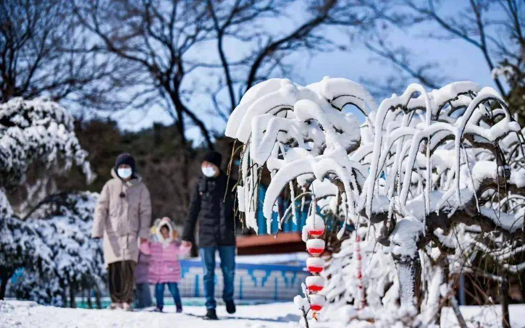 冰瀑美成了“冰水母”！济南的冰雪玩耍地大集合来啦~竟然有那么多？！