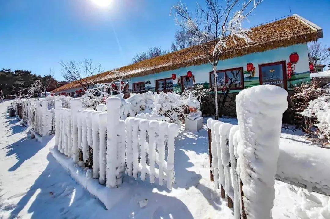 冰瀑美成了“冰水母”！济南的冰雪玩耍地大集合来啦~竟然有那么多？！