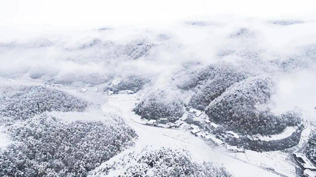 【曾家山】曾家山绝美雪景来袭，请查收！