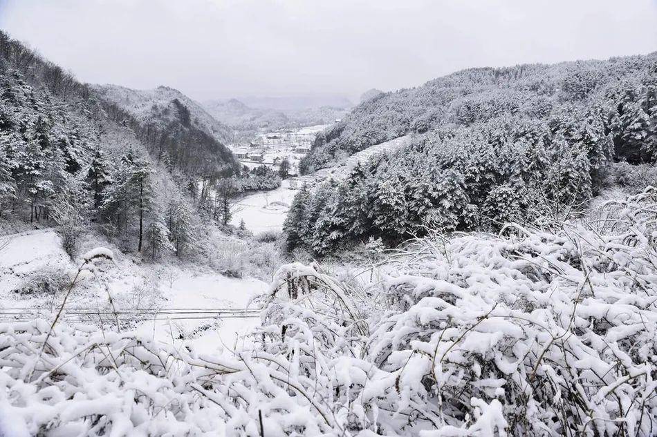 【曾家山】曾家山绝美雪景来袭，请查收！