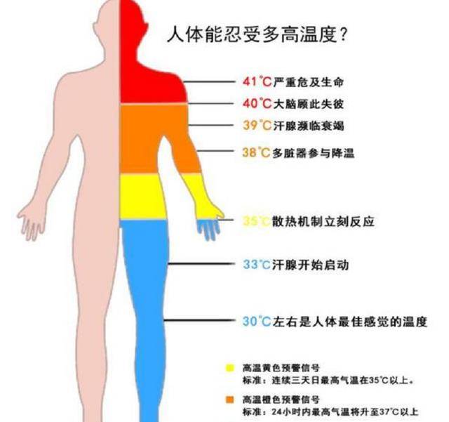 从科学角度阐发，冻死和热死，哪一种更好受一些？