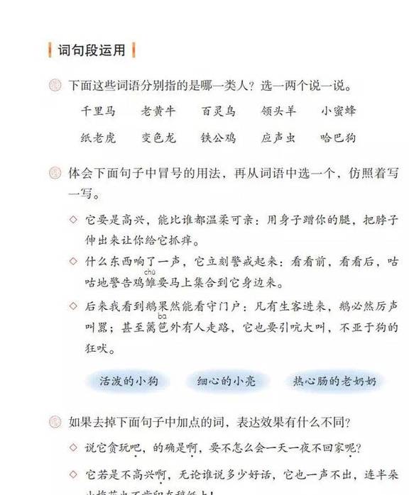 活泼的小狗，细心的小亮，热心的老奶奶仿写，10篇范文  范文 第1张