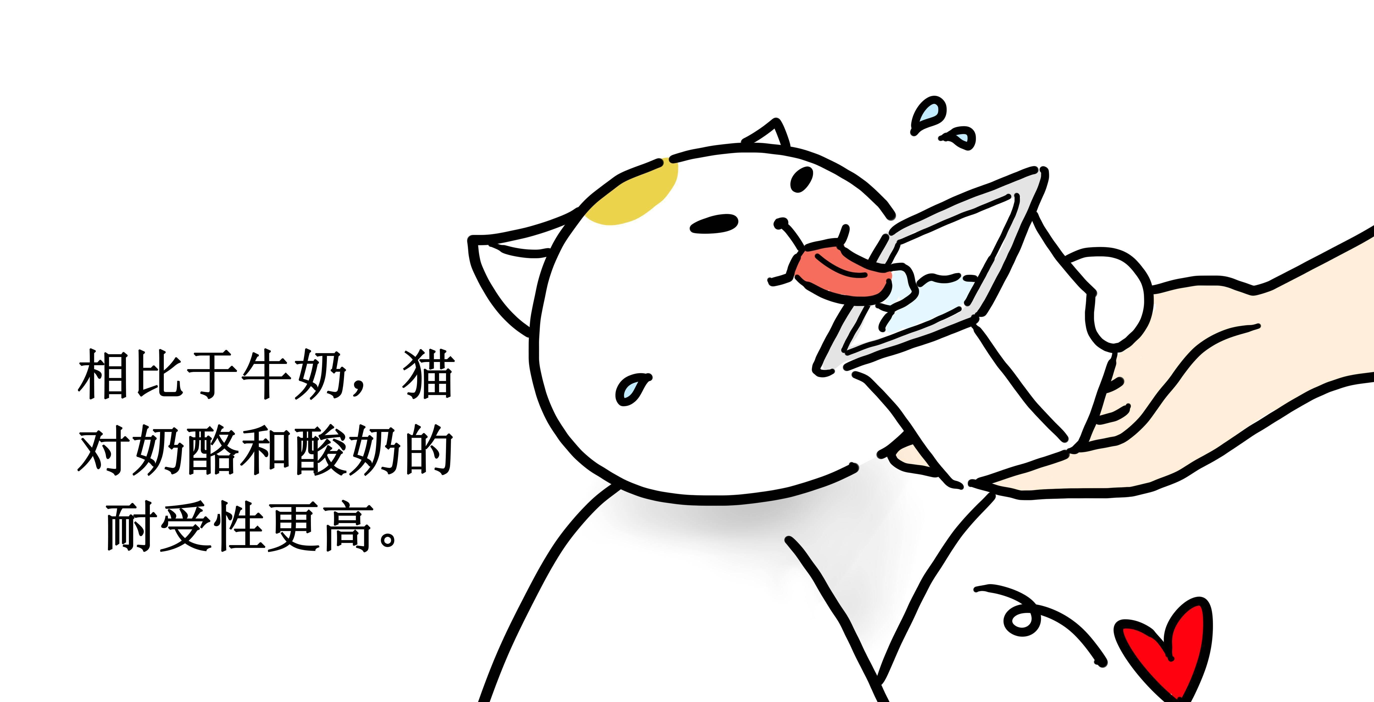 猫喝牛奶好吗？它对猫来说是安康的食物吗？哪款牛奶喝得更安心？