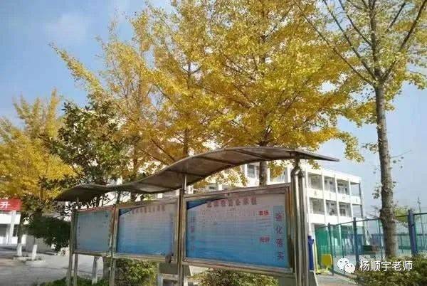 一、贾汪区新集中学