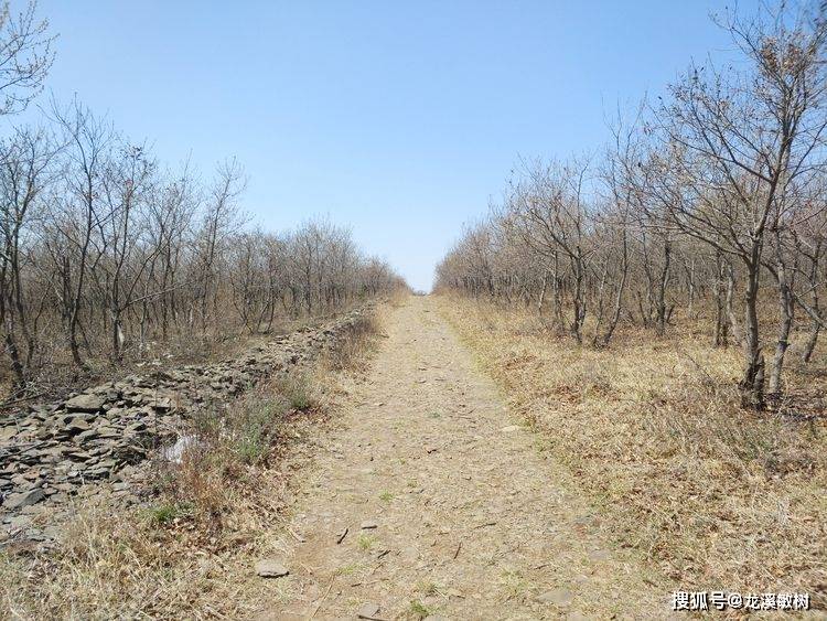 远古抱负的天文不雅测、历法造定的圣地，栖霞方山上奥秘的伏羲八卦