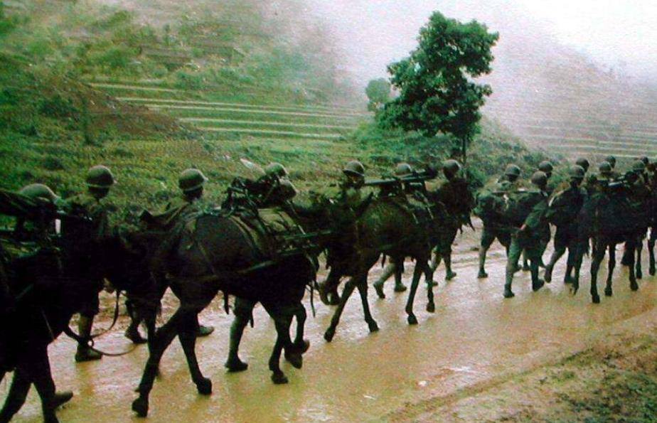 对越还击战完毕后，武元甲对外声称：中国只是敲打，越南能自保