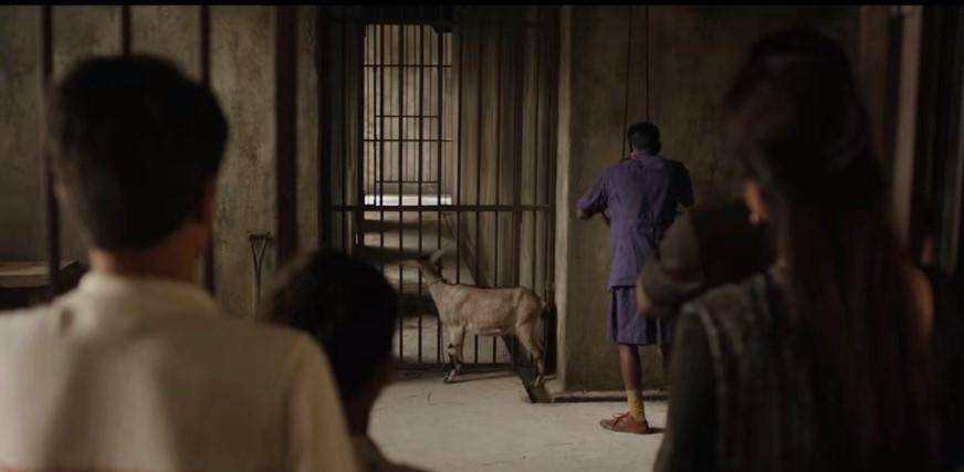 ��Ӱ�������ɵ����Ư���������������֮�䣬�������ʲô ...