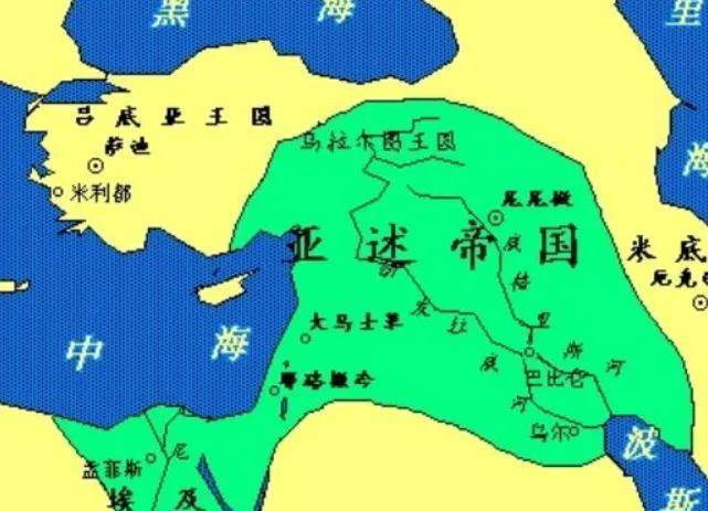 �����۹������������